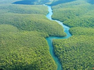 Fazendas à venda no Amazonas - diversas regiões