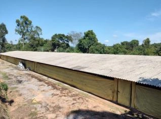 Granja Aviária Completa com 2 Aviários e Energia Solar