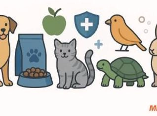 Indústria Pet à Venda - Oportunidade Única