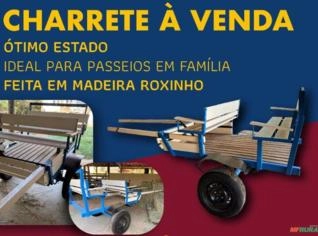 Charrete de Madeira Roxinho para Passeios Infantis
