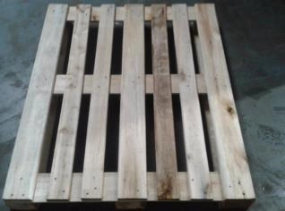 Pallet de Eucalipto para Exportação