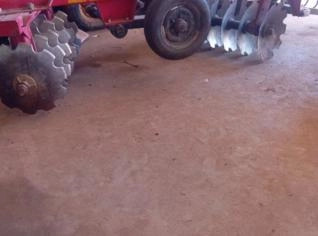 Grade Aradora Baldan 12 Disco à Venda