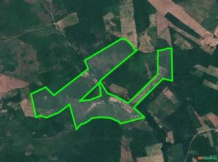 FAZENDA EM MONTE ALEGRE/PA COM 3.300 HECTARES