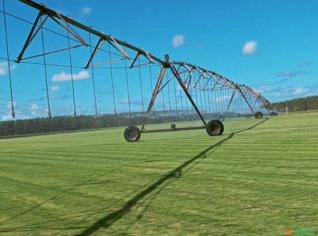 Pivô Central de Irrigação em Goiânia