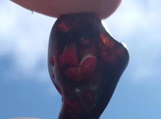 Painita Laranja Avermelhada 42.9 cts Exclusiva