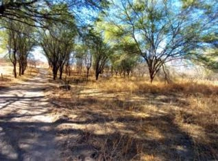 Terreno Rural com 12 Hectares e Poço Artesiano