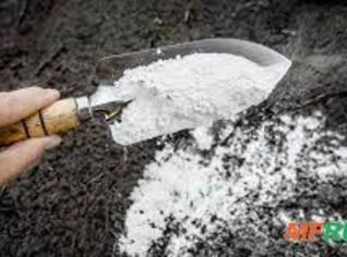 Calcário Dolomítico: Fertilizante de Alto Poder
