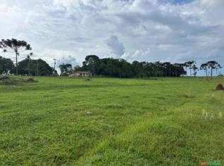 Sítio à venda em Avaré-SP - 14,4 alqueires
