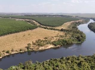 Fazenda em Itu-SP com 321 Alqueires à Venda
