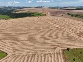 Fazenda de 180 Alqueires em Piraju-SP