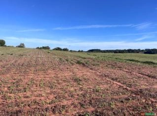 Fazenda em Avaré-SP: 240 Alqueires à Venda