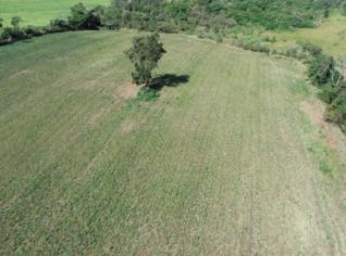 Sitio à Venda em Tatuí-SP com 3,3 Alqueires