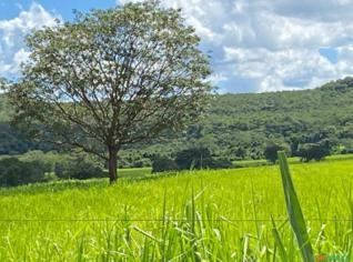 Fazenda Quirinópolis-GO: 362 Alqueires à Venda