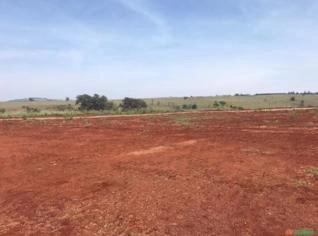 Fazenda em Avaré-SP: 340 Alqueires para Agricultura