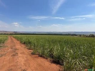 Fazenda com 470 alqueires em Avaré-SP
