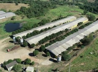 Sítio com granjas em Cesário Lange - SP