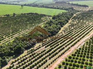 Fazenda Avaré-SP: 197 Alqueires à Venda