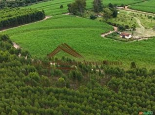 Fazenda em Avaré-SP - 94 Alqueires à Venda