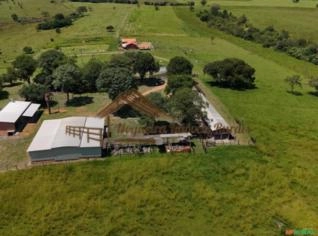 Fazenda em Porangaba-SP - 61 alqueires