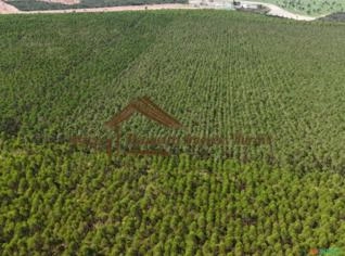 Fazenda com 509 hectares em Botucatu-SP