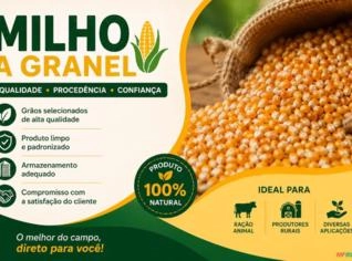Milho Agranel de Alta Qualidade