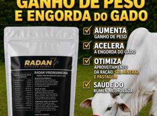 Engorda Boi - Suplemento para Ganho de Peso em SP