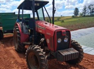 Trator MF 250 - 2010 - Varginha, MG