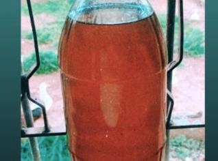 Banha de Porco caipira 2L - qualidade e sabor