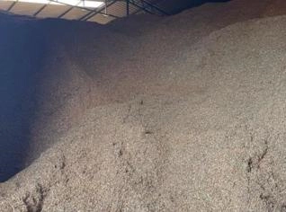 Casca de Amendoim a Granel para Forração - SP