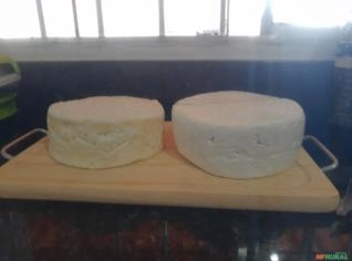 Queijo de Búfala Artesanal Fresco e Meia Cura