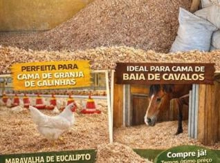 Maravalha de Eucalipto - Conforto e Higiene para Animais