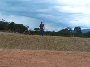 Silagem de Sorgo de Alta Qualidade - 250 Toneladas