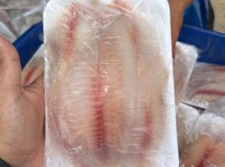 Filé de Tilápia M - Fresco e Saboroso