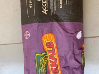 Sementes de Milho VT PRO3 - Modelo DKB265PRO3