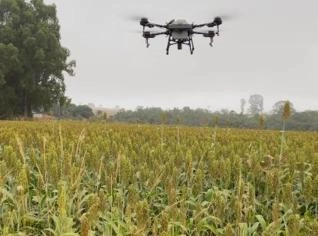 Pulverização de Defensivos com Drone
