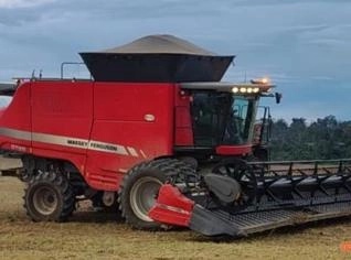Colheitadeira Massey Ferguson 9795 Draper 35 pés 2018