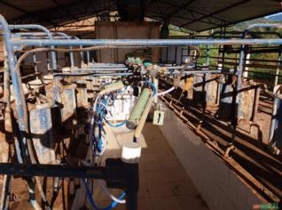 Ordenhadeira Automática com 6 Tetêiras - RJ