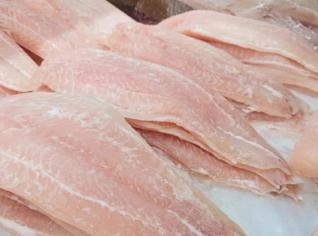 Filé de Pescada Fresco - Melhor Preço em São Paulo