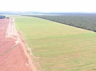 Fazenda W com 8.100 hectares em Chapadão do Sul, MS
