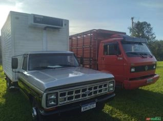 Frete Caminhão Boiadeiro 3/5 - Monte Aprazível SP
