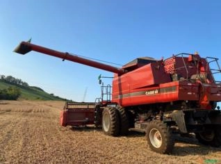 Procuro área para arrendamento agrícola no DF