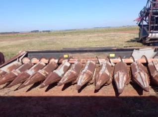 Plataforma de Milho 11 Linhas 45 cm Massey Ferguson