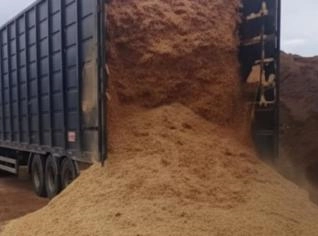 Serragem de Eucalipto - Mogi das Cruzes