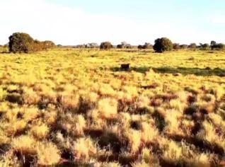 Fazenda Plana para Agricultura e Pecuária no TO
