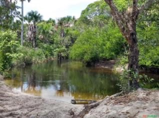 Fazenda 336 ha para Agricultura e Turismo em Santo Amaro