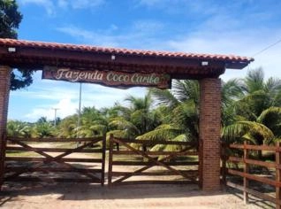Fazenda Conde Bahia - 45 Hectares com Produção Variada