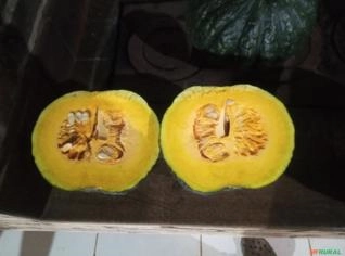 Abóbora Kabotia Takayama 2kg a 4kg