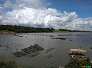 Licença para Piscicultura em Tanque Rede - 500tn