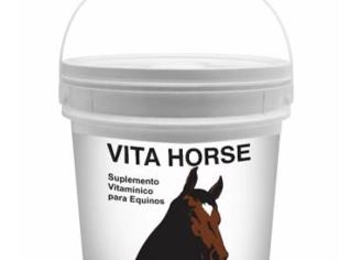 Vita Horse - Suplemento Vitamínico Completo para Equinos