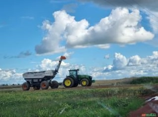 Produção de Biomassa com Licença Ambiental